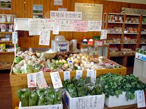 ���Y�i�̔�