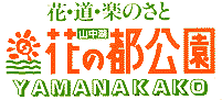 miyakologo.gif (3225bytes)