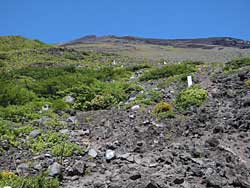 �x�m�o�R��