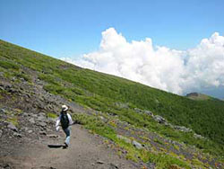 ��i�Ό��Ɍ�����