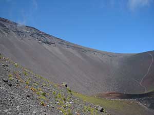 ��i��P�Ό�