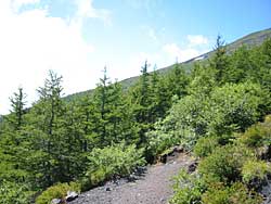 ���ёѓ����