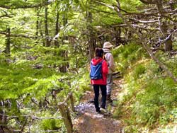 ���������ё�