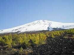 �䒆������̕x�m�R