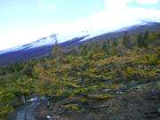 �䒆���X�ь��E