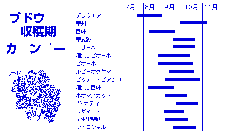 �Ԃǂ����n���J�����_�[