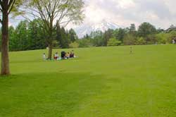 �p�C���Y�p�[�N