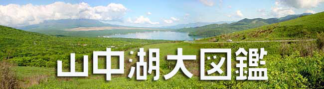 ���E�ߊό����@�R���Α�}��