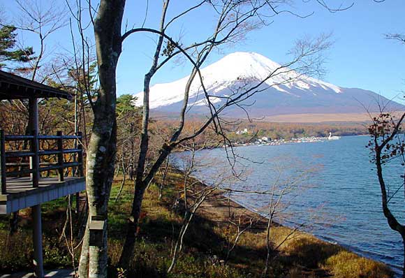 �[�Ă��̏�