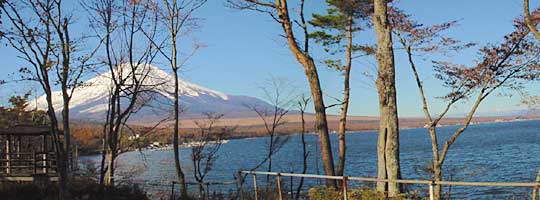 �[�Ă��̏��t��