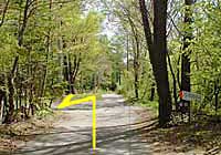 �w�A�s���J�[�u