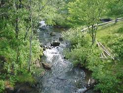 ��m�����n