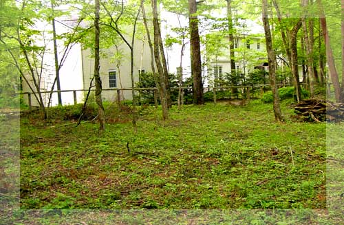 �Z���̎���̗�